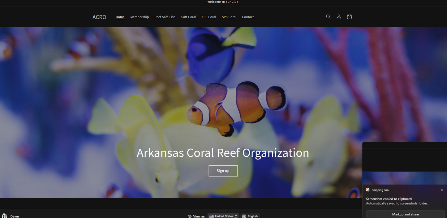 Basic Web Design + Revisions
